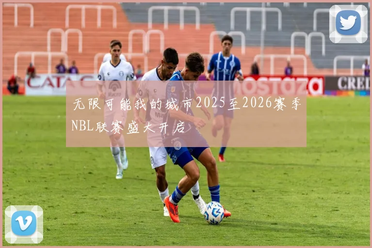 无限可能我的城市2025至2026赛季NBL联赛盛大开启