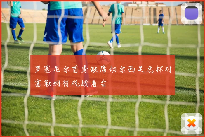 罗塞尼尔首秀缺席切尔西足总杯对富勒姆将观战看台