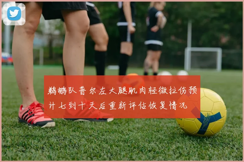 鹈鹕队普尔左大腿肌肉轻微拉伤预计七到十天后重新评估恢复情况