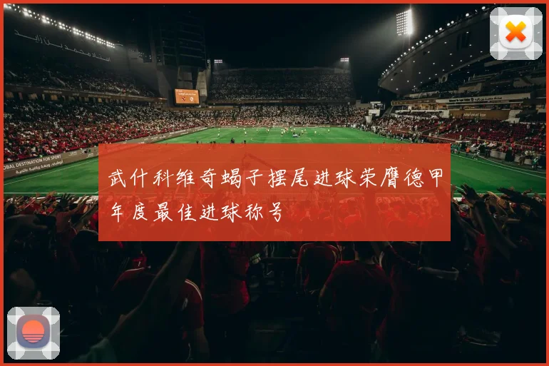 武什科维奇蝎子摆尾进球荣膺德甲年度最佳进球称号