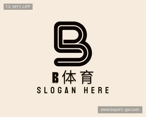 发现B体育官方网站